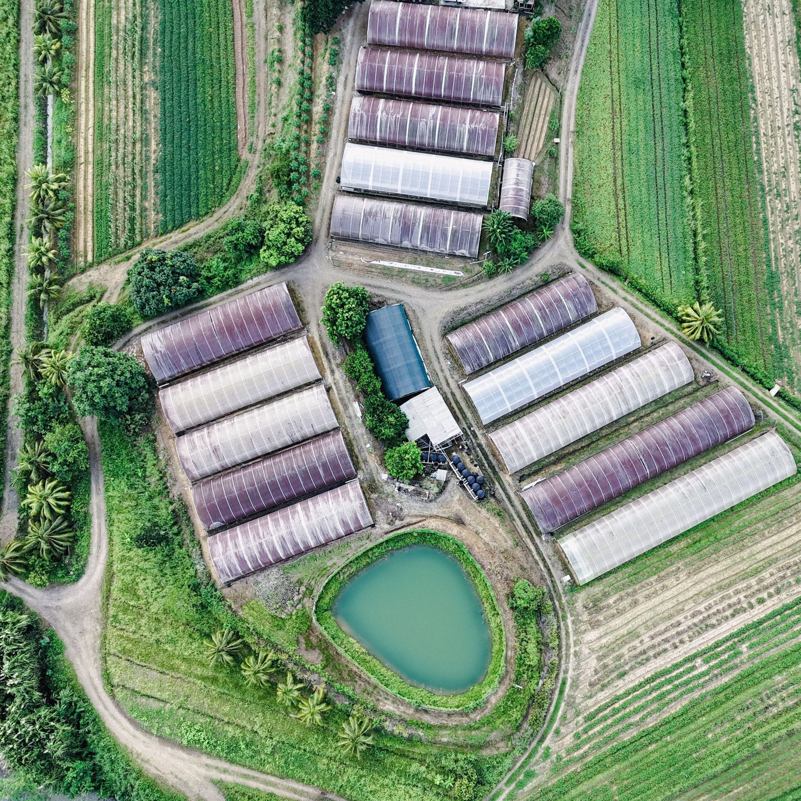 Aerial photograph of greenhouses and fields in Vanard, Castries, Saint Lucia.